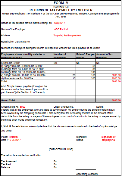 Professional Tax Form 5 Excel Format