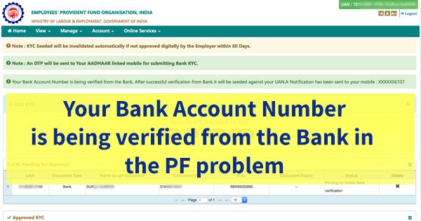Your bank account number is being verified from the Bank. After successful verification from bank, it will be seeded against your UAN
