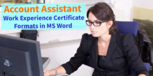 Account assistant work experience certificate formats in Word