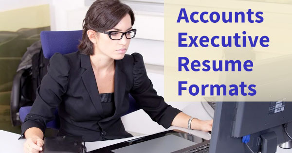 Accounts executive resume formats in Word download