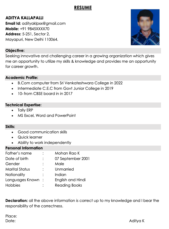 Fresher resume download format in MS Word