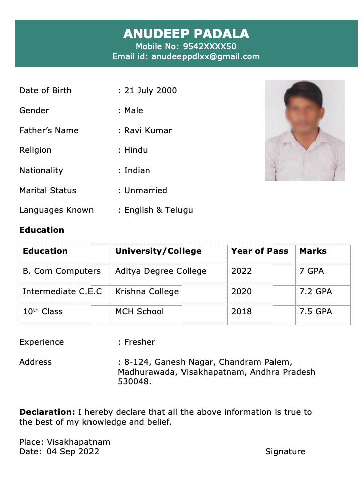 Biodata for job in Word free download