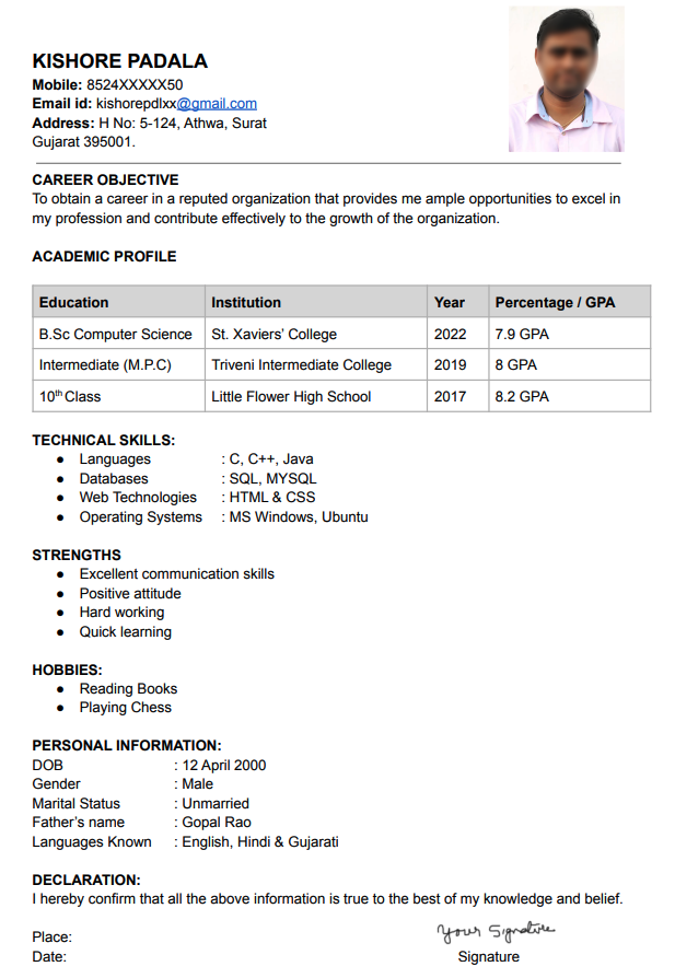 Google doc resume template free download for freshers