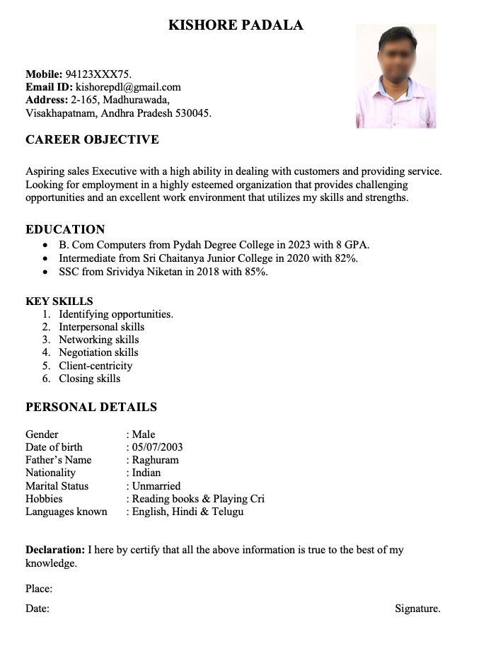 Sales Executive Resume Format in Word