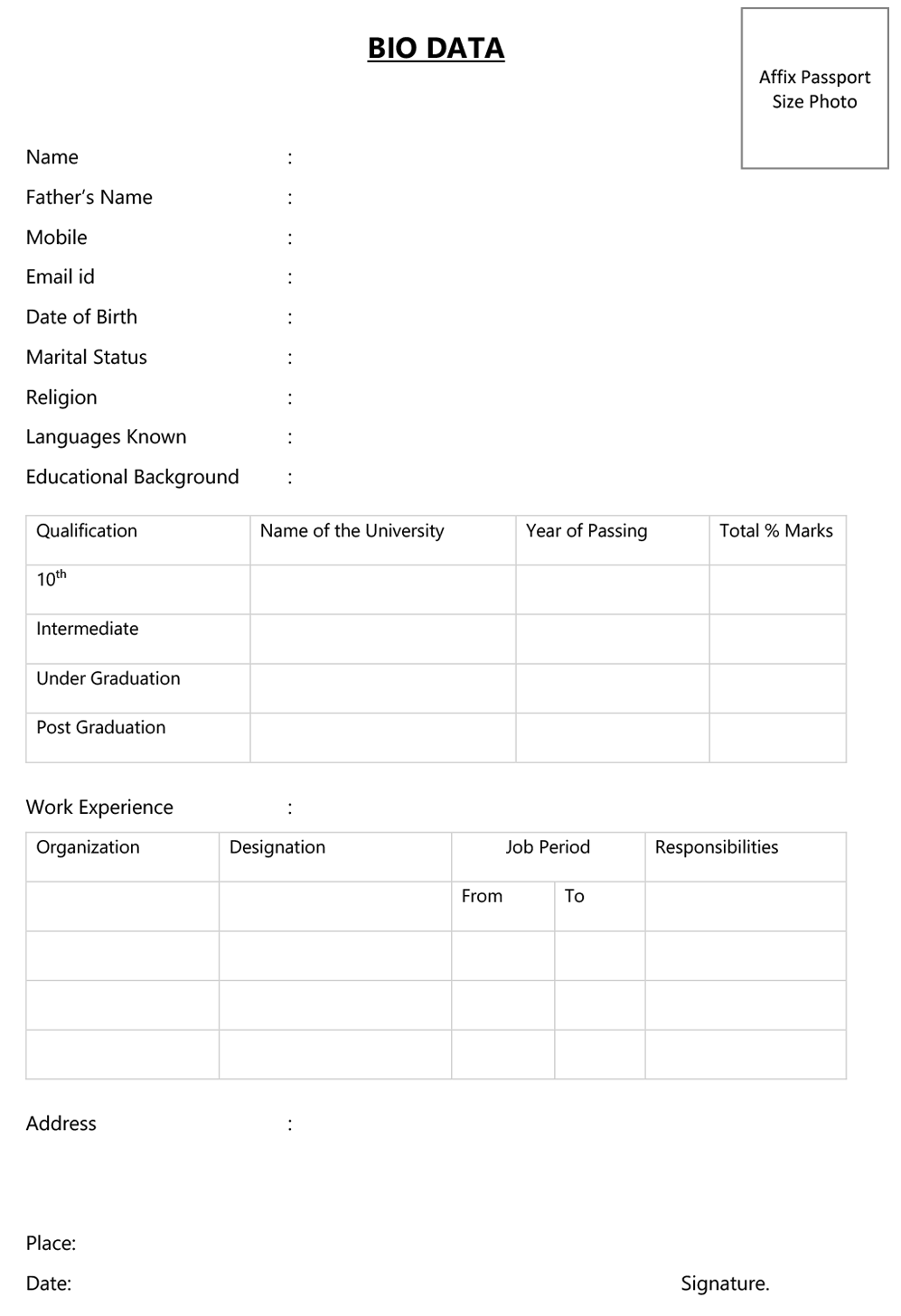 Simple job biodata format Word & PDF 