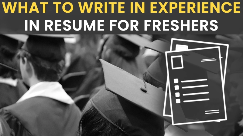 What to write in experience in resume for freshers